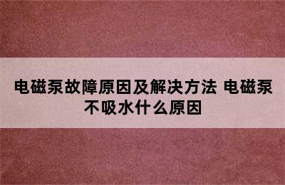 电磁泵故障原因及解决方法 电磁泵不吸水什么原因